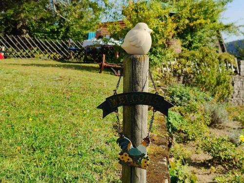 Apartamento Black Forest Birdnest