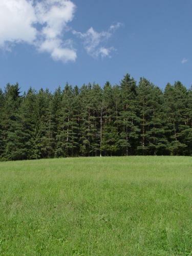 Apartamento Schonachblick