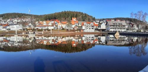Apartamento Schonachblick