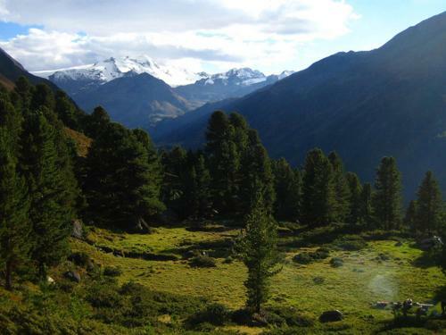 Apartamento Plattnerhof Kaunertal