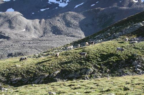 Apart Dorfblick