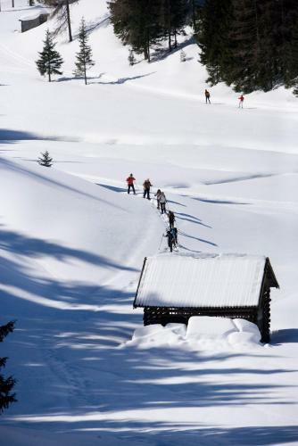 Hostal Haus Gfall