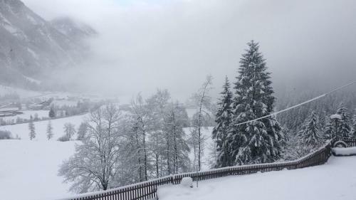 Apartamento Appart Sonnenheim