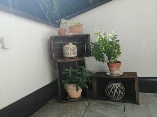 Apartamento Landhaus St. Hubertus