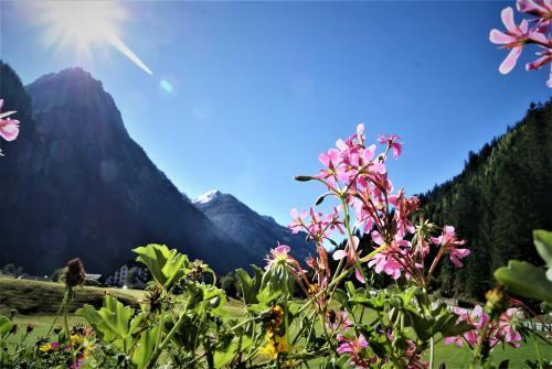 Apartamento Landhaus St. Hubertus