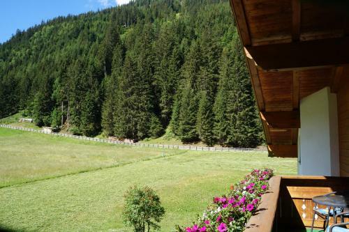 Apartamento Bergfeuerhof