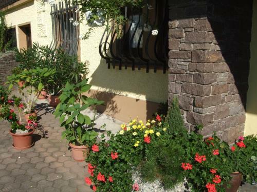 Apartamento Haus Garz