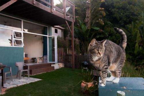 Apartamento Accommodation Mossel Bay Garden Route