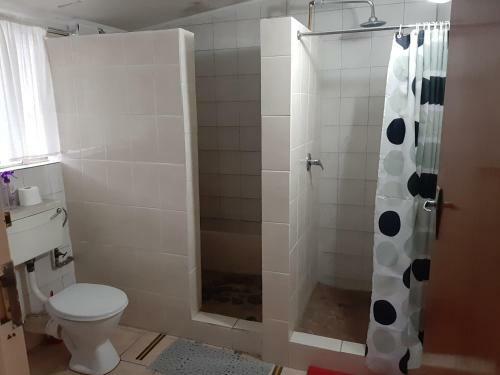 Hostal Elephant Walk Guesthouse And Back Packers