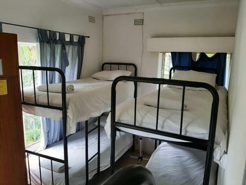 Hostal Elephant Walk Guesthouse And Back Packers