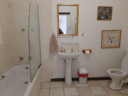 Hostal Elephant Walk Guesthouse And Back Packers