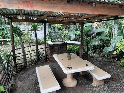 Hostal Elephant Walk Guesthouse And Back Packers