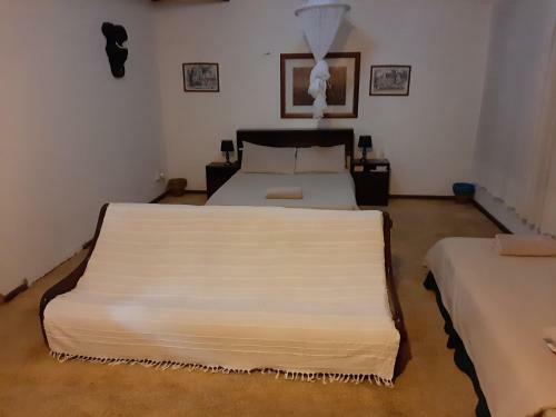 Hostal Elephant Walk Guesthouse And Back Packers