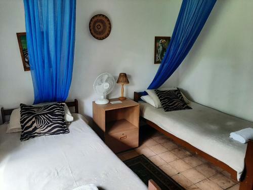 Hostal Elephant Walk Guesthouse And Back Packers