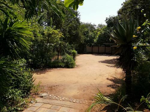 Hostal Elephant Walk Guesthouse And Back Packers