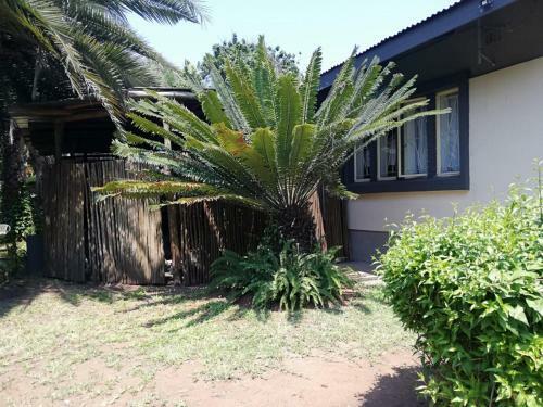 Hostal Elephant Walk Guesthouse And Back Packers