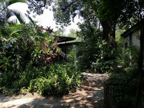 Hostal Elephant Walk Guesthouse And Back Packers