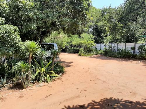 Hostal Elephant Walk Guesthouse And Back Packers