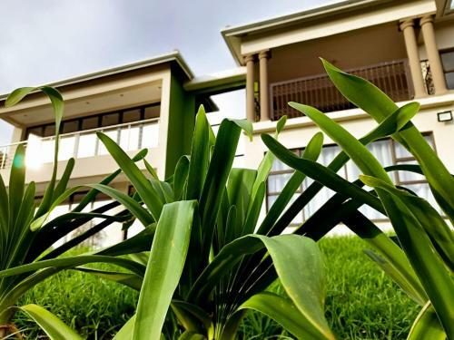 Lodge Uzuri Lifestyle