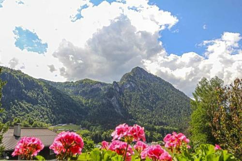 Apartamento G�stehaus Weinrebe