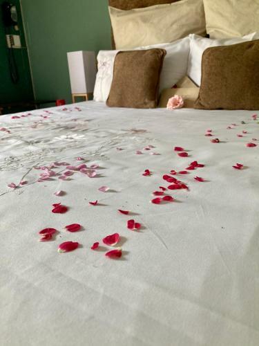 Hostal Su Casa Scottsville