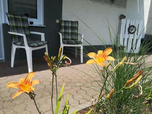 Apartamento Ferienwohnung Schneider