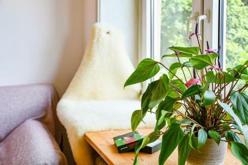 Apartamento Haus Paradiesberg