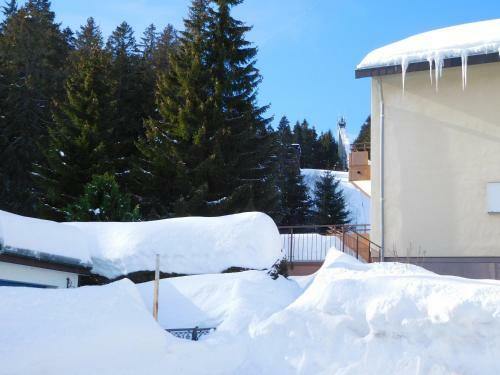 Apartamento Ferienwohnung Schwarzwaldrauschen