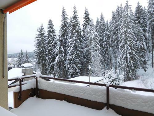 Apartamento Ferienwohnung Schwarzwaldrauschen