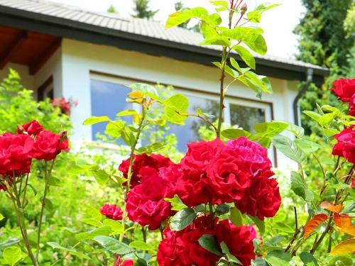 Apartamento Ferienwohnung Jachmann