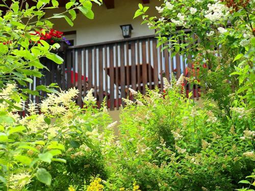Apartamento Ferienwohnung Jachmann