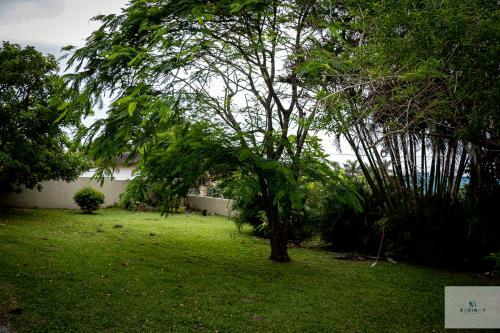 Kevinot Home