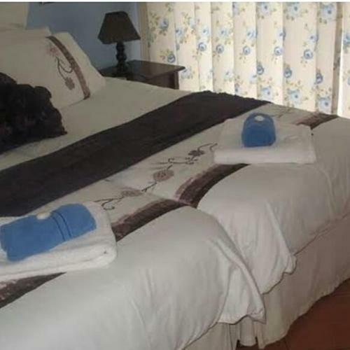 Bottlenose B&B