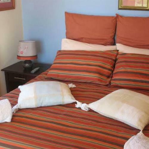 Bottlenose B&B