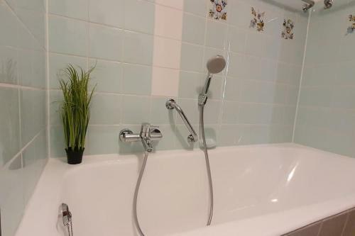 Apartamento Black Forest Kuckucksnest Sch�nwald Im Schwarzwald