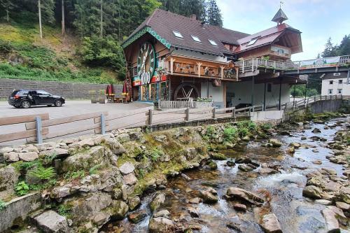 Apartamento Black Forest Kuckucksnest Sch�nwald Im Schwarzwald