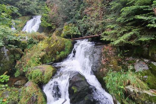 Apartamento Black Forest Kuckucksnest Sch�nwald Im Schwarzwald