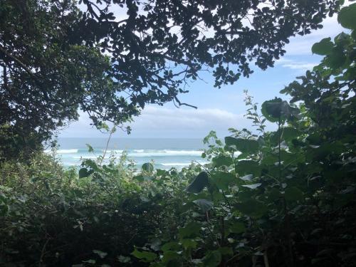 Apartamento Caribbean Estates 5a