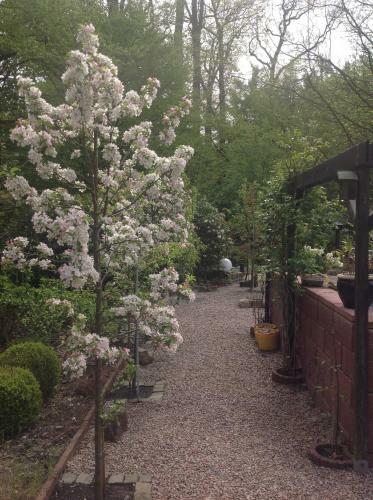 Bed & Breakfast Haus Drossel