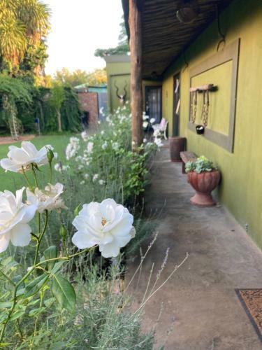 Hostal The Ranch Guesthouse