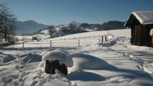 Posada Laterndl-wirt