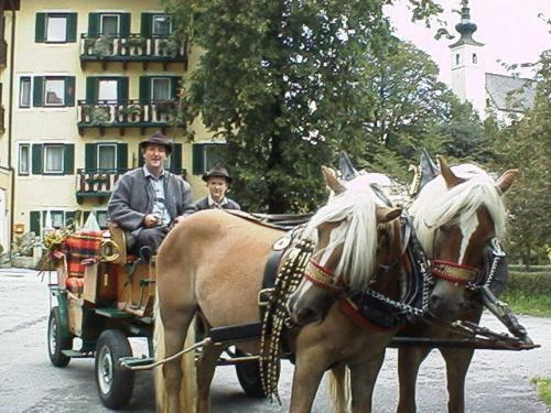 Hotel Torrenerhof