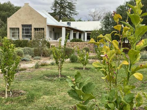 Villa The Olive House, Prince Albert