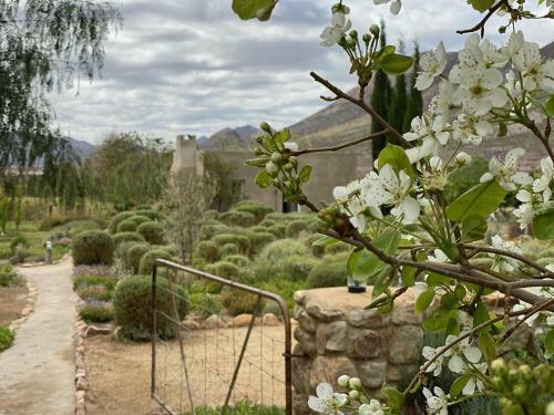 Villa The Olive House, Prince Albert