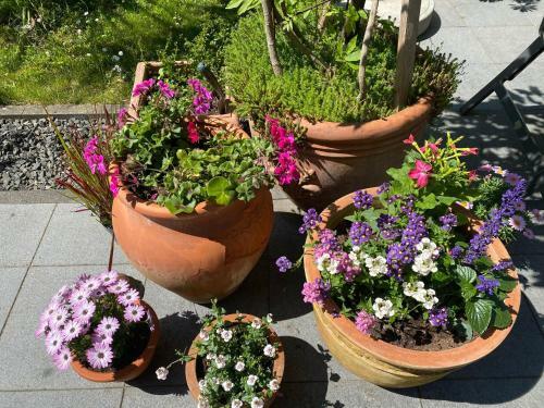 Apartamento Ferienwohnung Fiordaliso