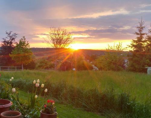 Apartamento G�stezimmer Carmen