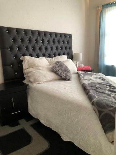 1 Bedroom Standard Apartment
