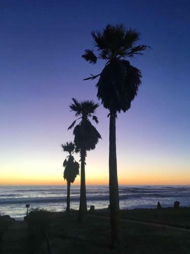 Apartamento Sababa Beach House
