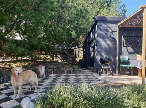 Apartamento The Studio @ Mount View Lodge