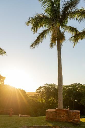 Pelicans Pad @ St Lucia